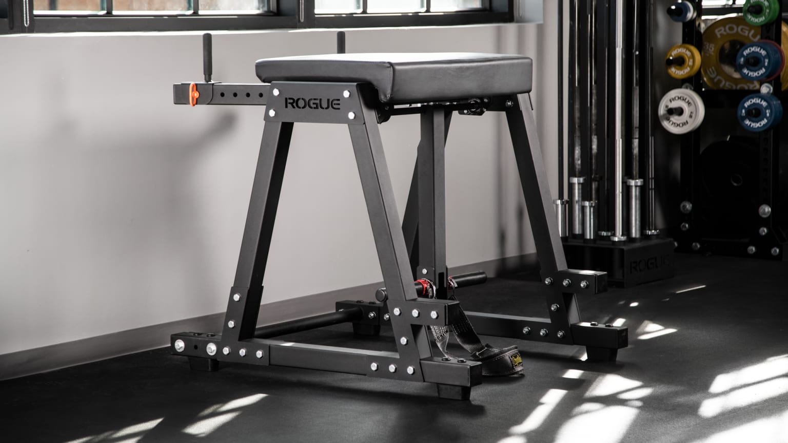 Rogue equipment packages best sale
